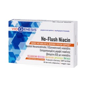 Viogenesis No-Flush Niacin για Ενέργεια & την Υγεία του Νευρικού Συστήματος 30 Κάψουλες Viogenesis No-Flush Niacin για Ενέργεια & την Υγεία του Νευρικού Συστήματος 30 Κάψουλες