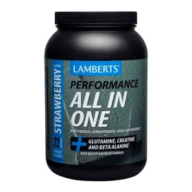 Lamberts Performance All In One Πρωτεΐνη Ορού Γάλακτος με Γεύση Φράουλα 1.45kg