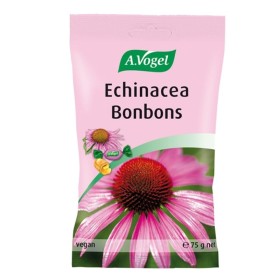 A.Vogel Echinacea Bonbons Καραμέλες για τον Πονόλαιμο με Εχινάκεια 75g A.Vogel Echinacea Bonbons Καραμέλες για τον Πονόλαιμο με Εχινάκεια 75g
