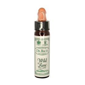 AINSWORTHS Dr. Bach Wild Rose Flower Remedy 10ml