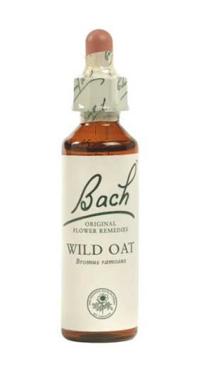 POWER HEALTH Bach Wild Oat No 36 20ml