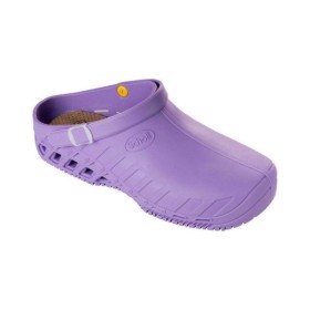 Scholl Clog Evo Unisex Ανατομικά Σαμπό Λιλά Νούμερο 36-37 1 Ζευγάρι Scholl Clog Evo Unisex Ανατομικά Σαμπό Λιλά Νούμερο 36-37 1 Ζευγάρι