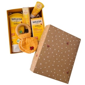 WELEDA Promo Baby Calendula Gift Set Ladybug Diaper Changing Cream 75+10ml & Shampoo & Shower Gel 200+20ml & Toy Ladybug with Ring 1 Piece