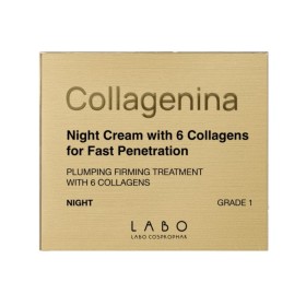 Collagenina Night Cream Grade 1 Αγωγή Νυκτός για Σύσφιξη & Ελαστικότητα 50ml Collagenina Night Cream Grade 1 Αγωγή Νυκτός για Σύσφιξη & Ελαστικότητα 50ml