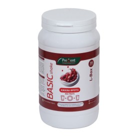 Prevent Basic Shake με Γεύση Κόκκινα Φρούτα 581g