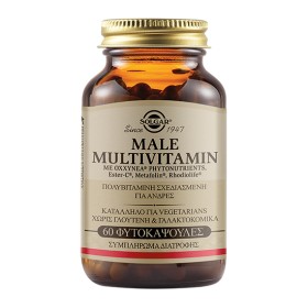 Solgar Male Multivitamin Πολυβιταμίνη για Άνδρες 60 Φυτικές Κάψουλες Solgar Male Multivitamin Πολυβιταμίνη για Άνδρες 60 Φυτικές Κάψουλες
