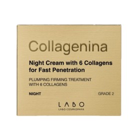 Collagenina Night Cream Grade 2 Αγωγή Νυκτός για Σύσφιξη & Ελαστικότητα 50ml Collagenina Night Cream Grade 2 Αγωγή Νυκτός για Σύσφιξη & Ελαστικότητα 50ml