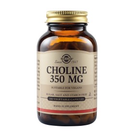 Solgar Choline 350μg 100 Φυτικές Κάψουλες Solgar Choline 350μg 100 Φυτικές Κάψουλες