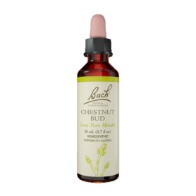Power Health Bach Chestnut Bud No 7 20ml