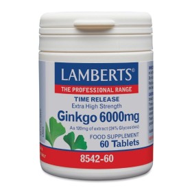 LAMBERTS Ginkgo Biloba Extract 6000mg Συμπλήρωμα για Μνήμη & Κυκλοφορία Αίματος 60 Ταμπλέτες