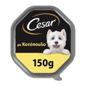 CESAR Υγρή Τροφή για Ενήλικους Σκύλους με γεύση Κοτόπουλο 150g