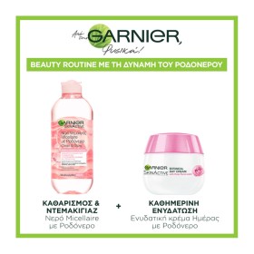 GARNIER Promo Skinactive Micellaire με Ροδόνερο 400ml & Rose Nourishing Κρέμα Προσώπου για Ξηρές Επιδερμίδες 50ml