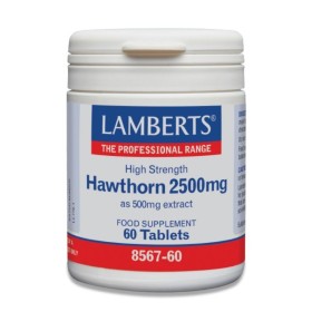 LAMBERTS Hawthorn 2500mg Συμπλήρωμα για Υγιές Καρδιαγγειακό Σύστημα 60 Ταμπλέτες