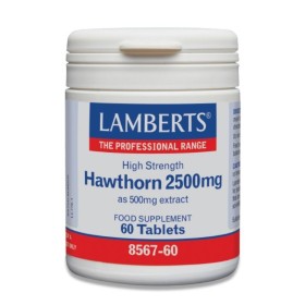 Lamberts Hawthorn 2500mg Συμπλήρωμα για Υγιές Καρδιαγγειακό Σύστημα 60 Ταμπλέτες