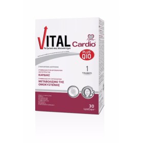 Vital Cardio Pl &hellip;
