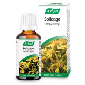 A.Vogel Solidago για την Εύρυθμη Λειτουργία του Ουροποιητικού Συστήματος 50ml