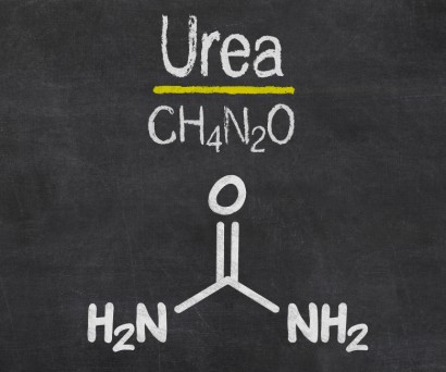 Αυξημένη ουρία στο αίμα: Αιτίες συμπτώματα και λύσεις