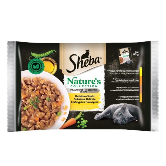Sheba Promo Nat …