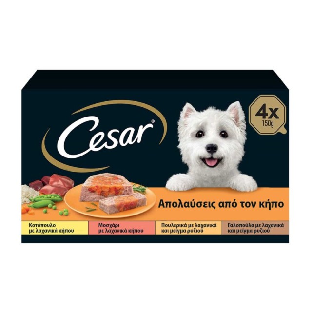 Cesar Απολαύσει …