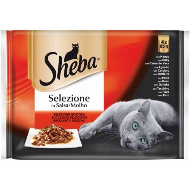 Sheba Selection …