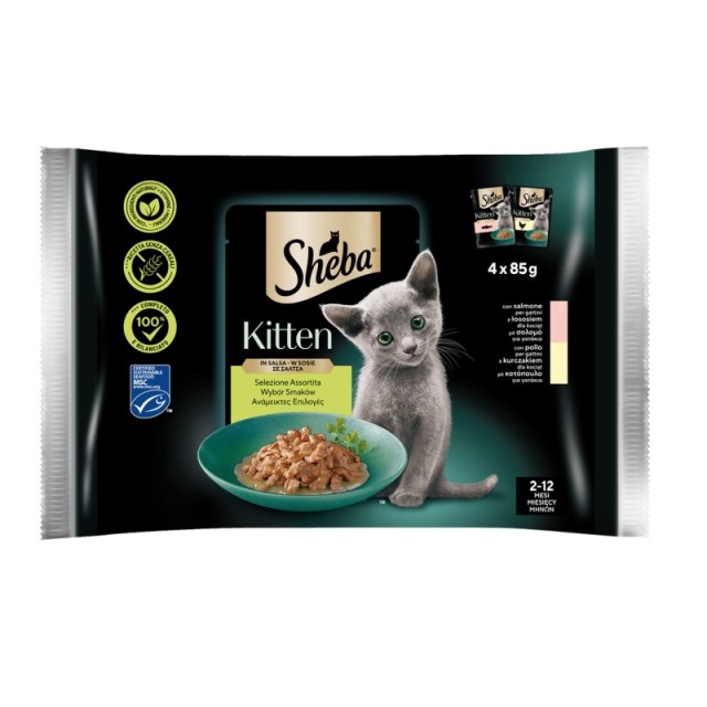 Sheba Kitten Mi … Sheba Kitten Mi …