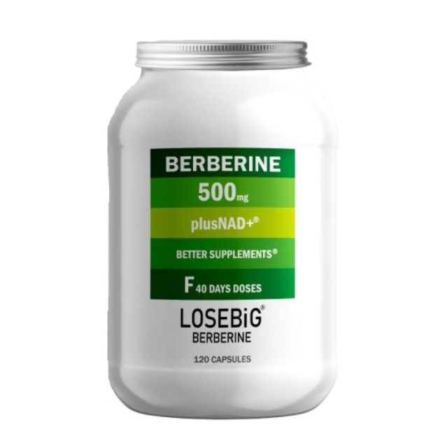 Losebig Berberi … Losebig Berberi …