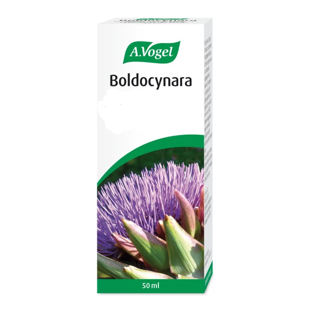 A.Vogel Boldocy … A.Vogel Boldocy …