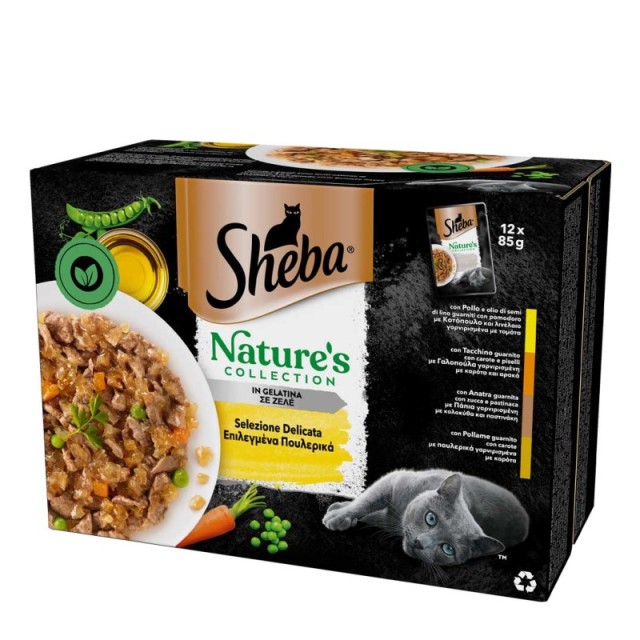 Sheba Promo Nat … Sheba Promo Nat …