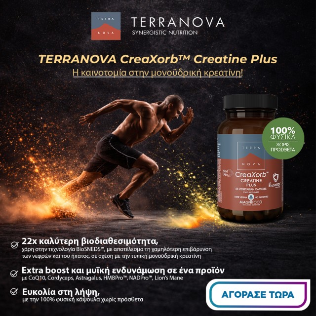 Terranova
